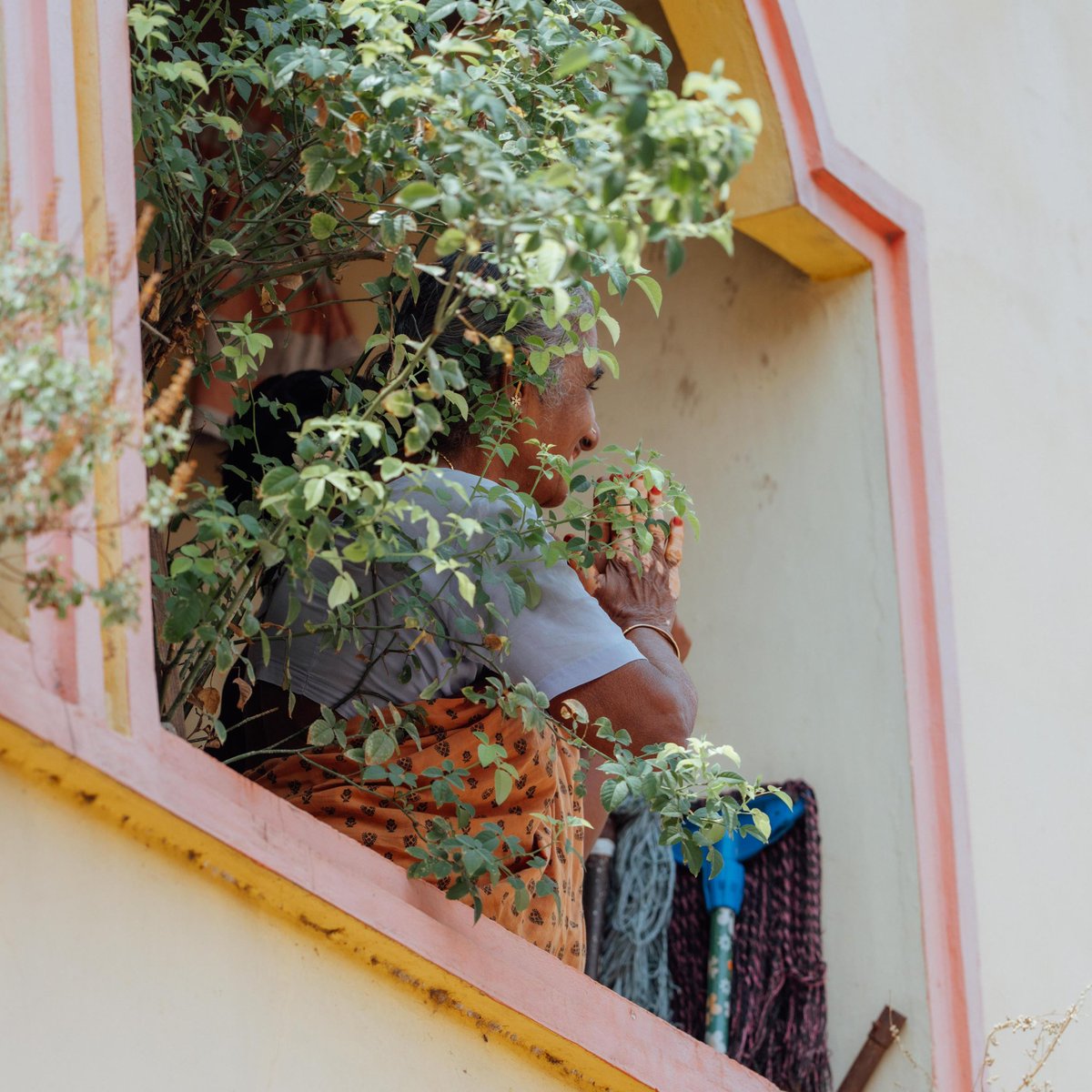 K.Annamalai tweet media