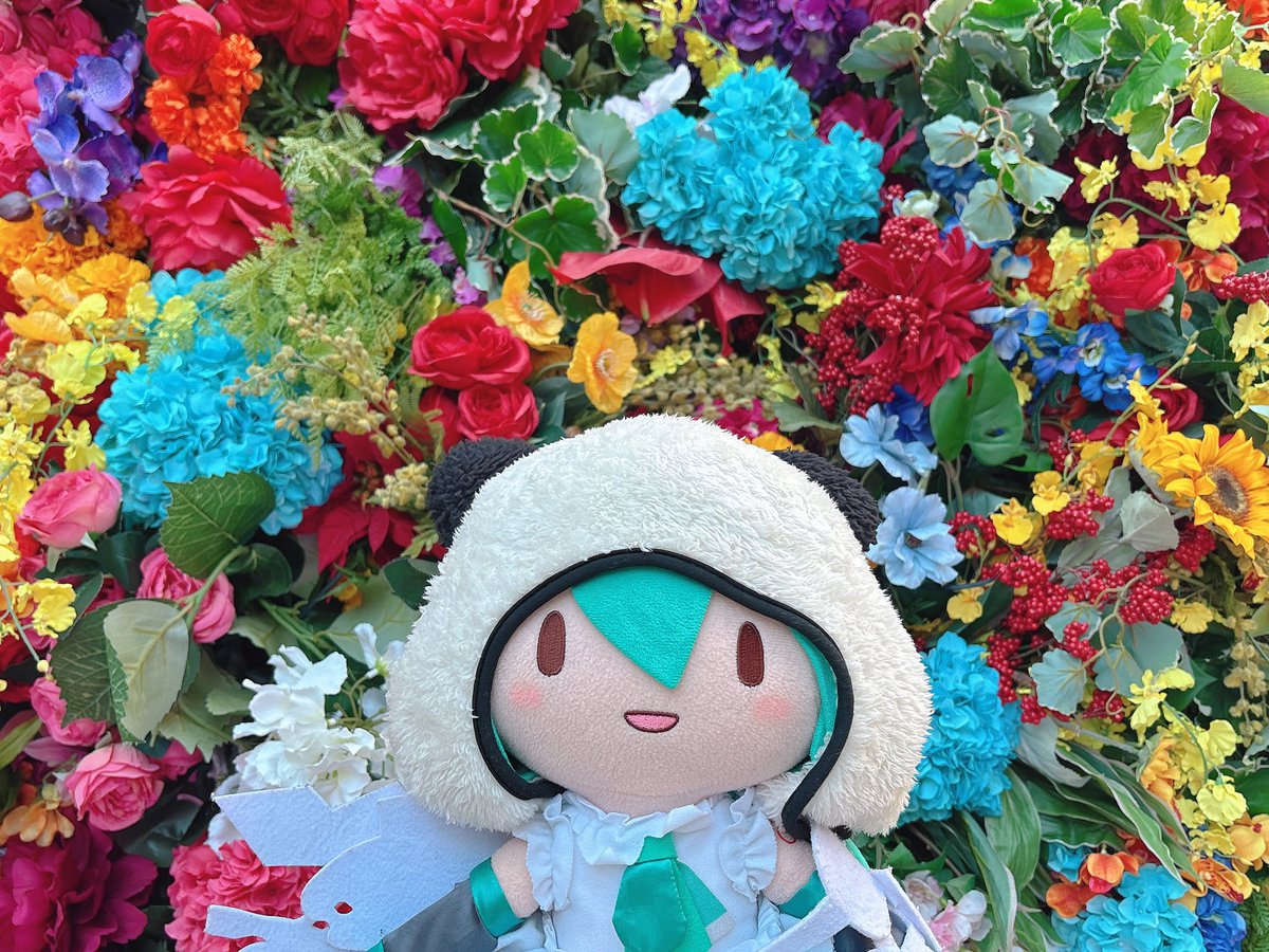 さかどん tweet media