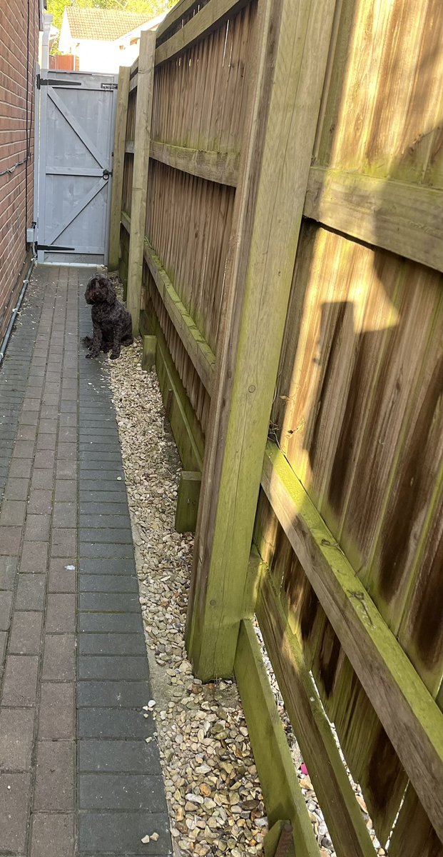 Paul Harmer tweet media