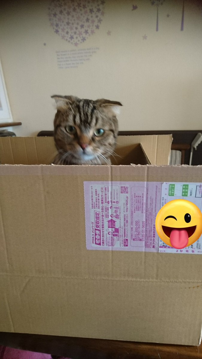 🐉nakahiro⛩ tweet media