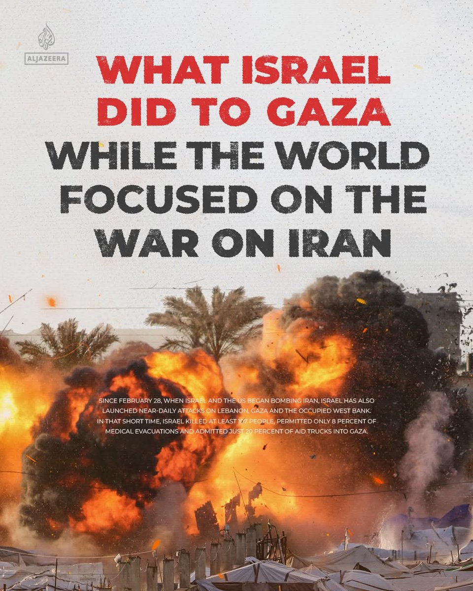 Embassy of The State of Palestine-Zimbabwe tweet media
