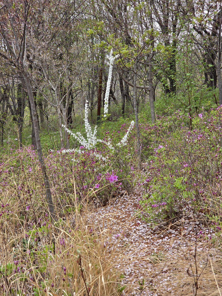 윤 종 필💙 tweet media