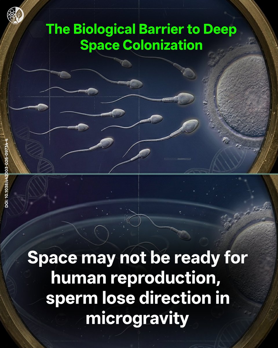 Science & Astronomy tweet media