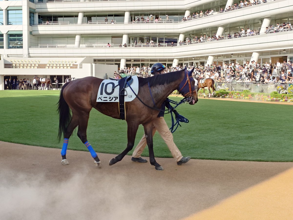 イッシー tweet media