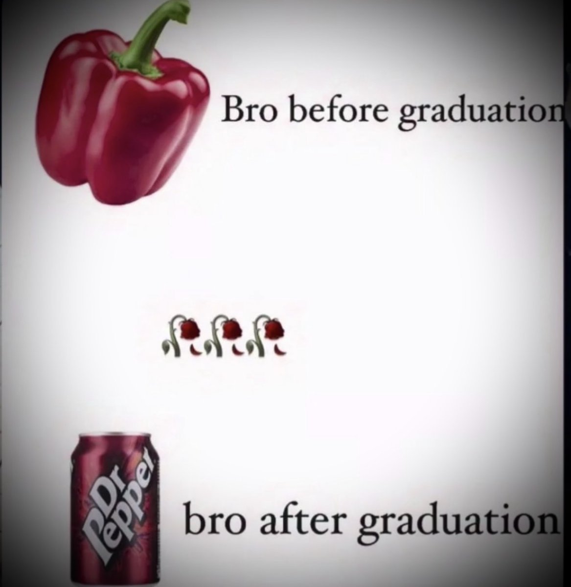 Respectful Memes tweet media