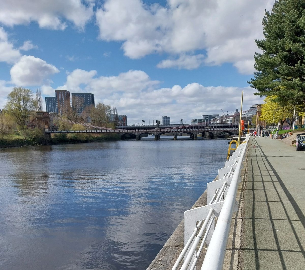 PictureThis Scotland tweet media