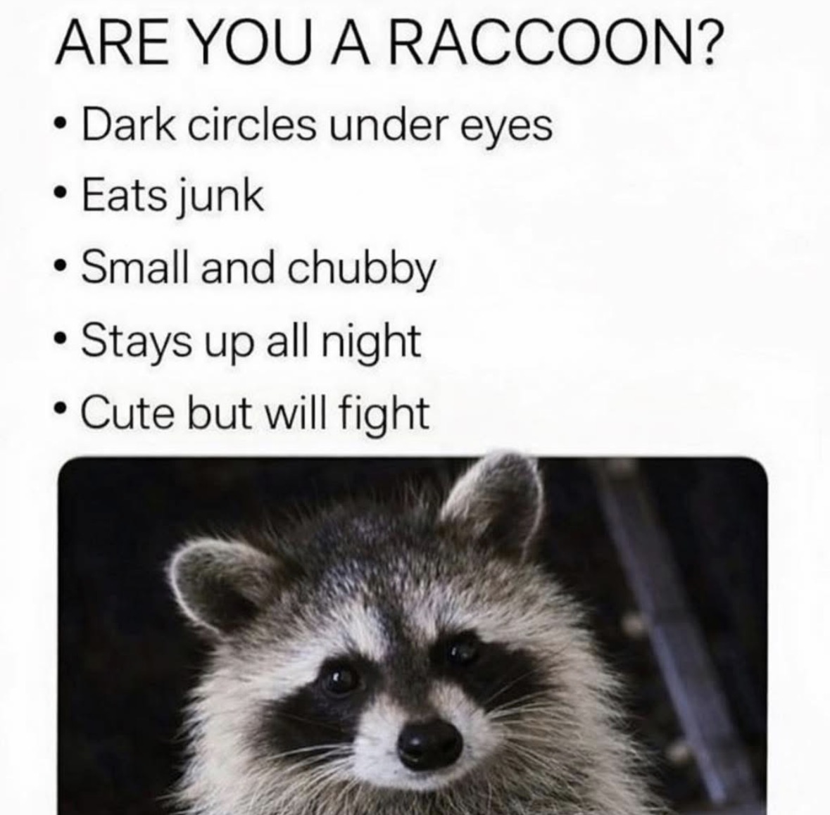 Respectful Memes tweet media