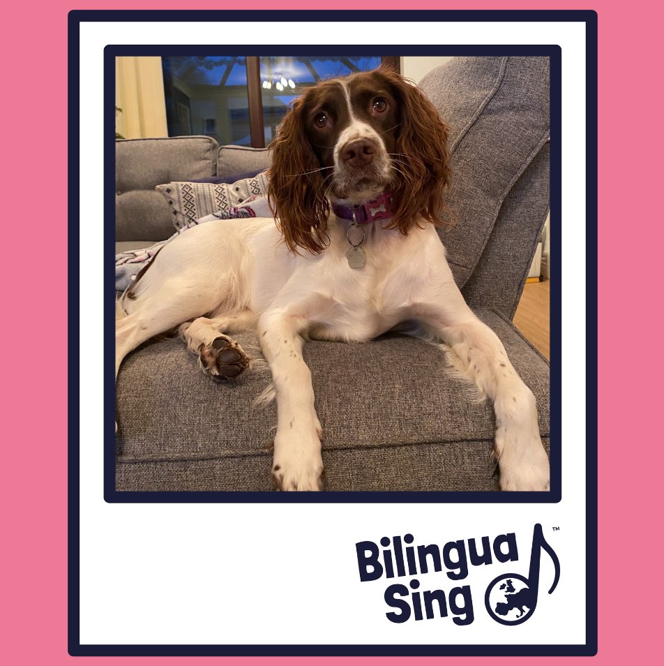 BilinguaSing | Kids language franchise 🌎 tweet media
