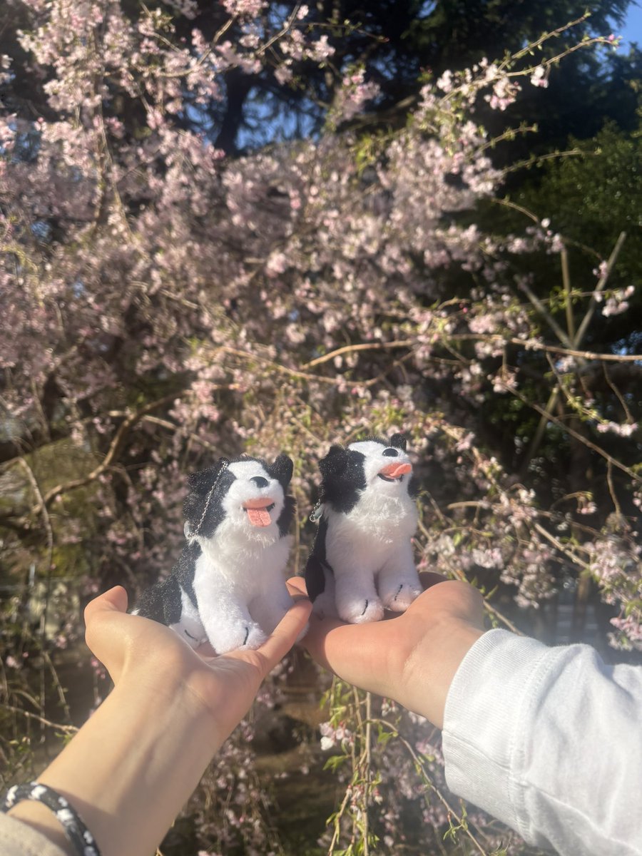 𝓡𝓮𝓷🐧 tweet media