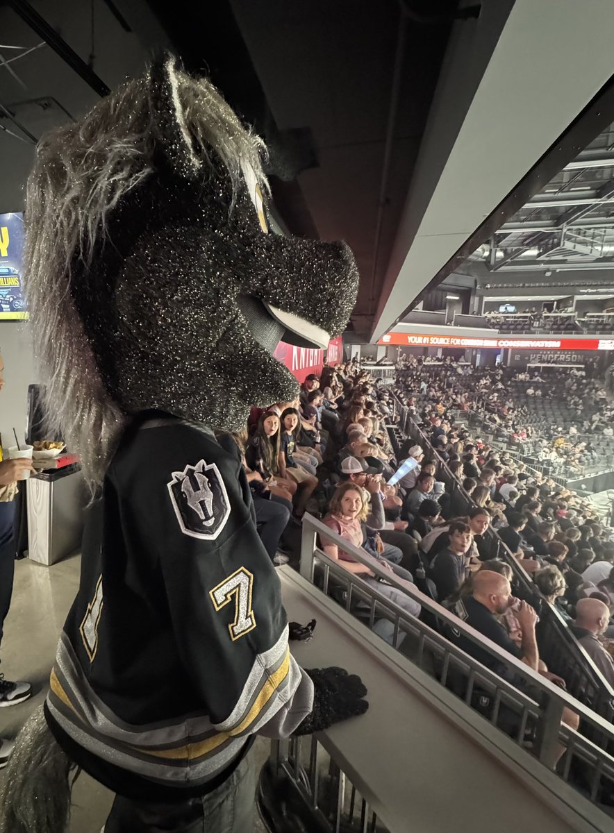 ProHockey_WEST's tweet image. Our own @ITHSWScott and @ITHSWSteven were in @LeesFamilyForum to see an @TheAHL @HSKnights defeat @sjbarracuda 9-6! It’s been awhile since Scott was in Henderson so we showed him  a few of his favorite sights and sounds! #BestGoalSong #TownCrier #Lucky #Winning