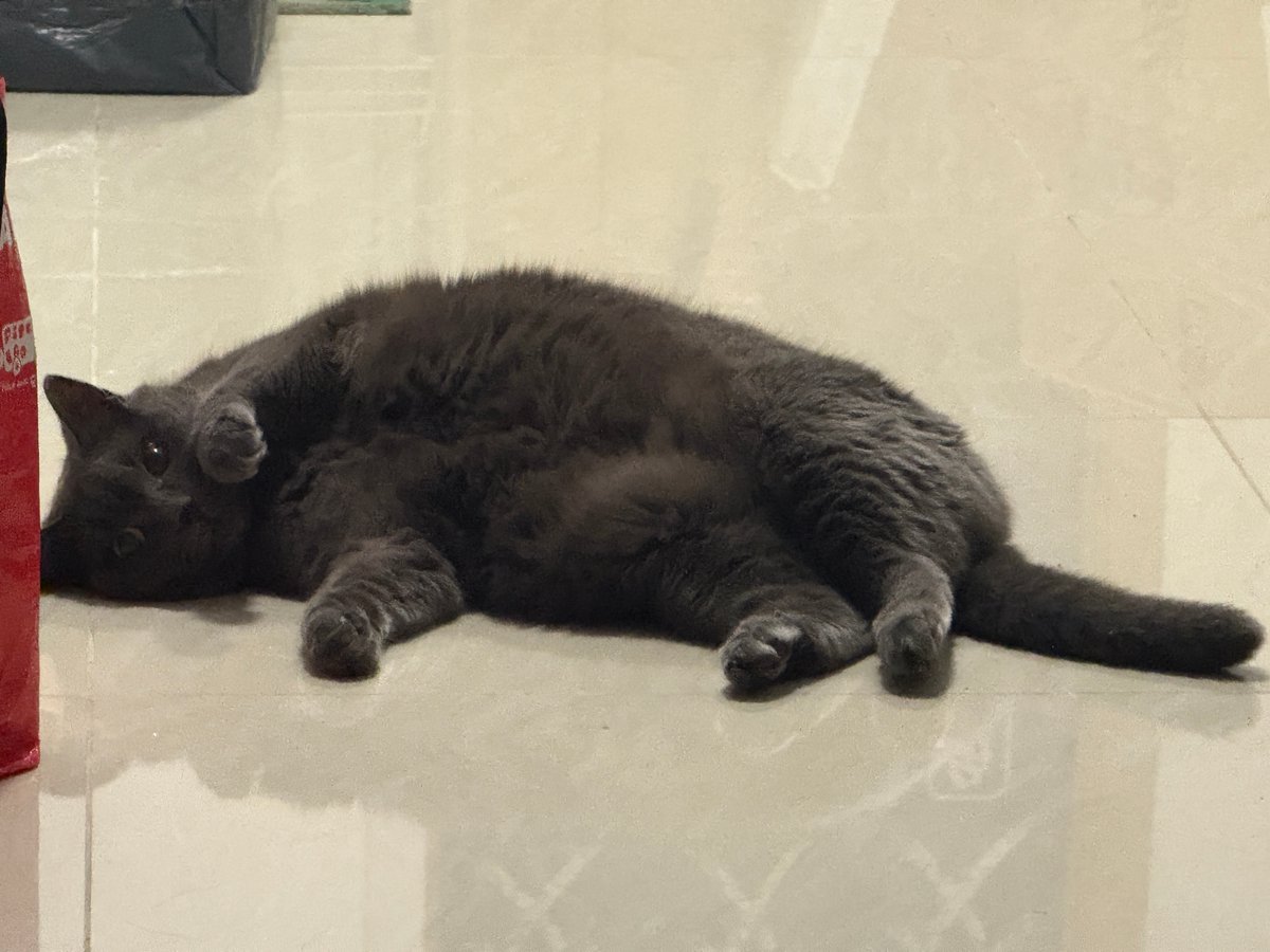 Laura Hussey tweet media