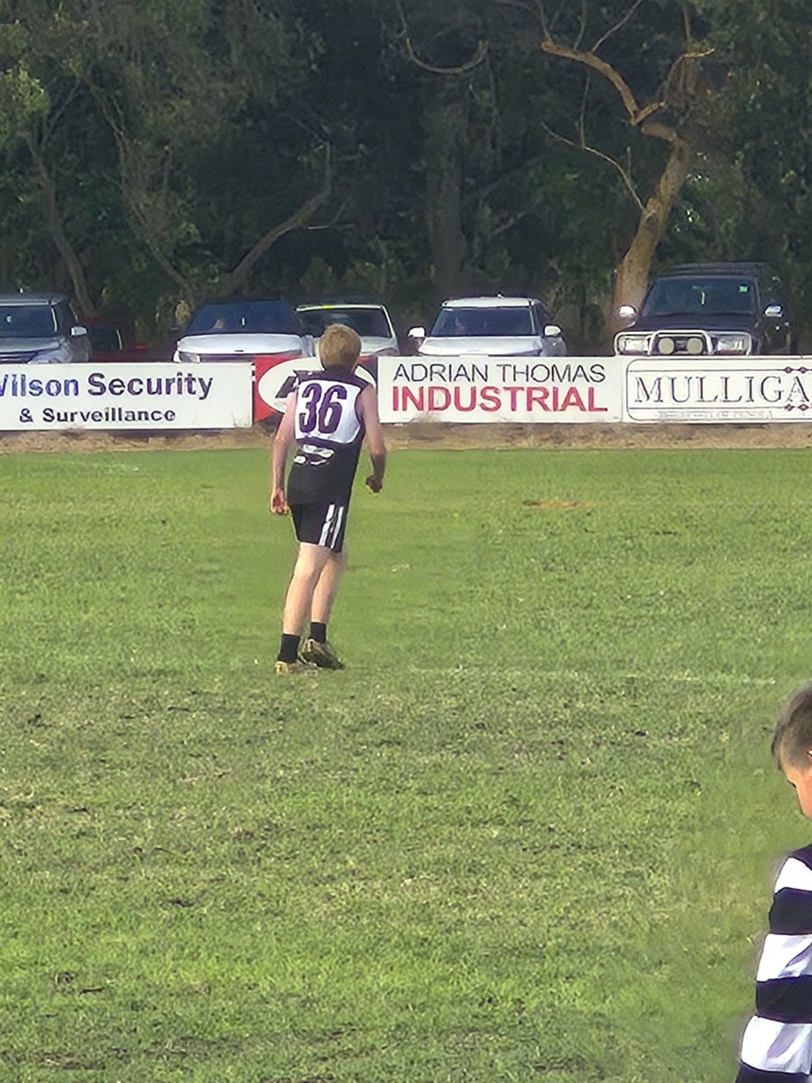 Andrew Lydeamore tweet media