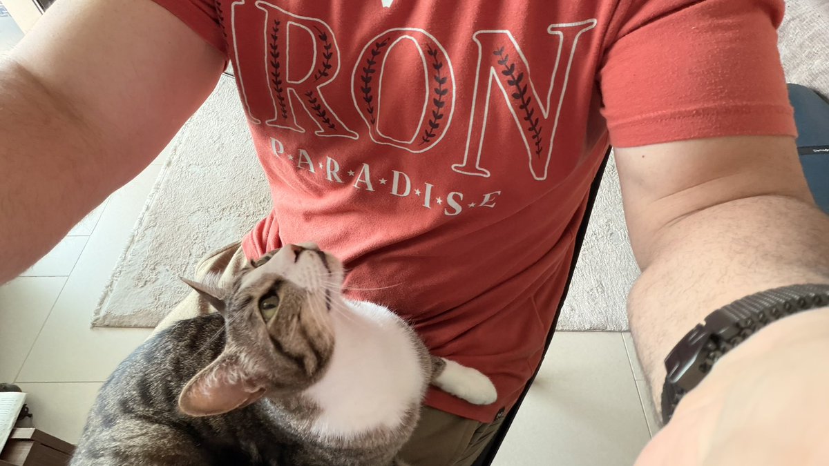 Excogitatoris 🌻 tweet media