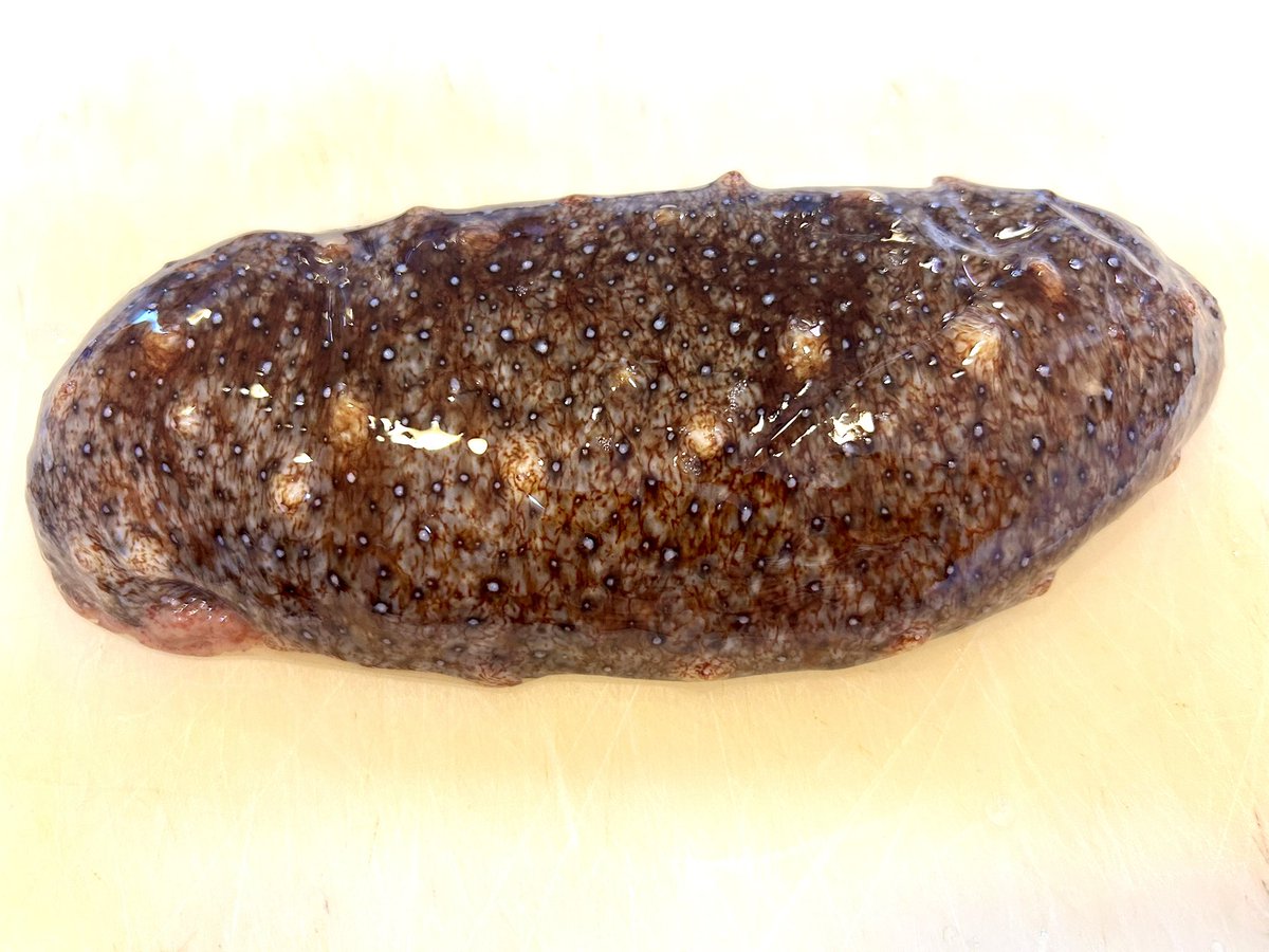 能登❤️‍🔥5/3 OPS2 tweet media