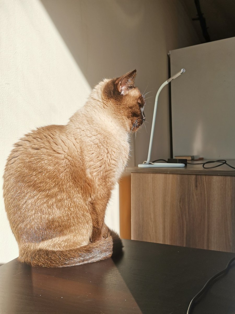 OLGAmkrtCHAN tweet media