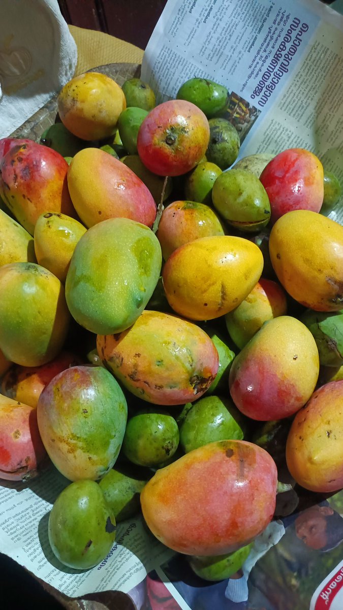 സ്മിത്ത് tweet media