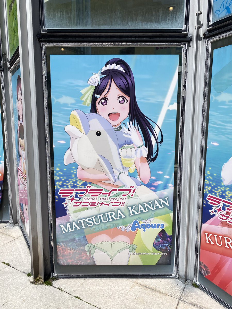 ✈︎きゅが🐬 tweet media