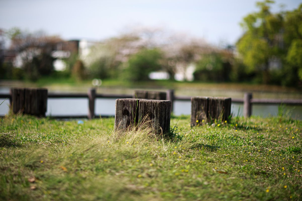 木霊（コダマ） tweet media