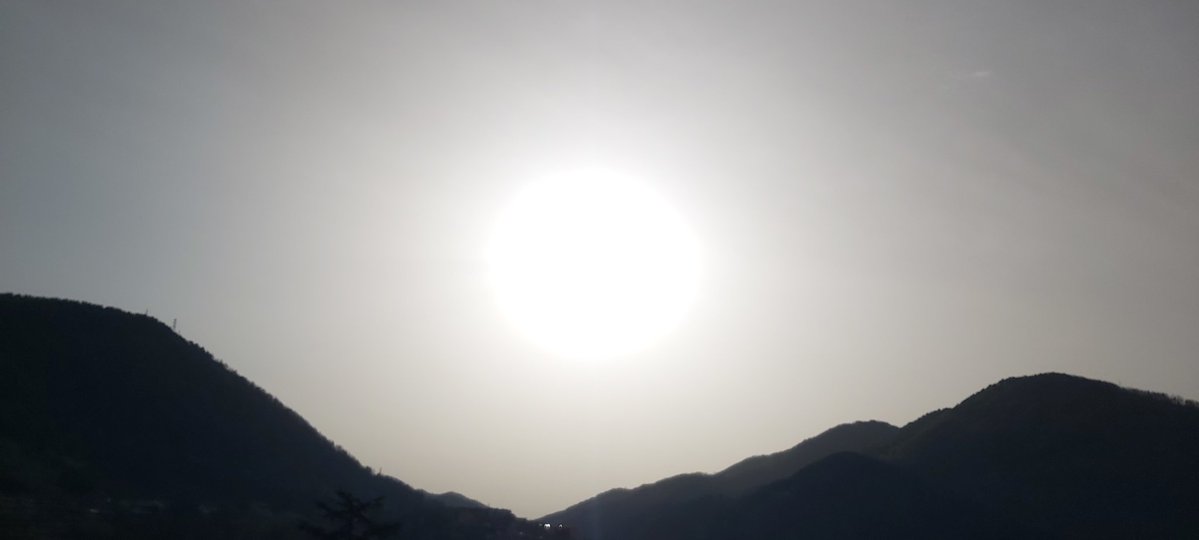 Elisabeth tweet media