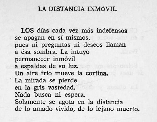 José L. Pérez tweet media