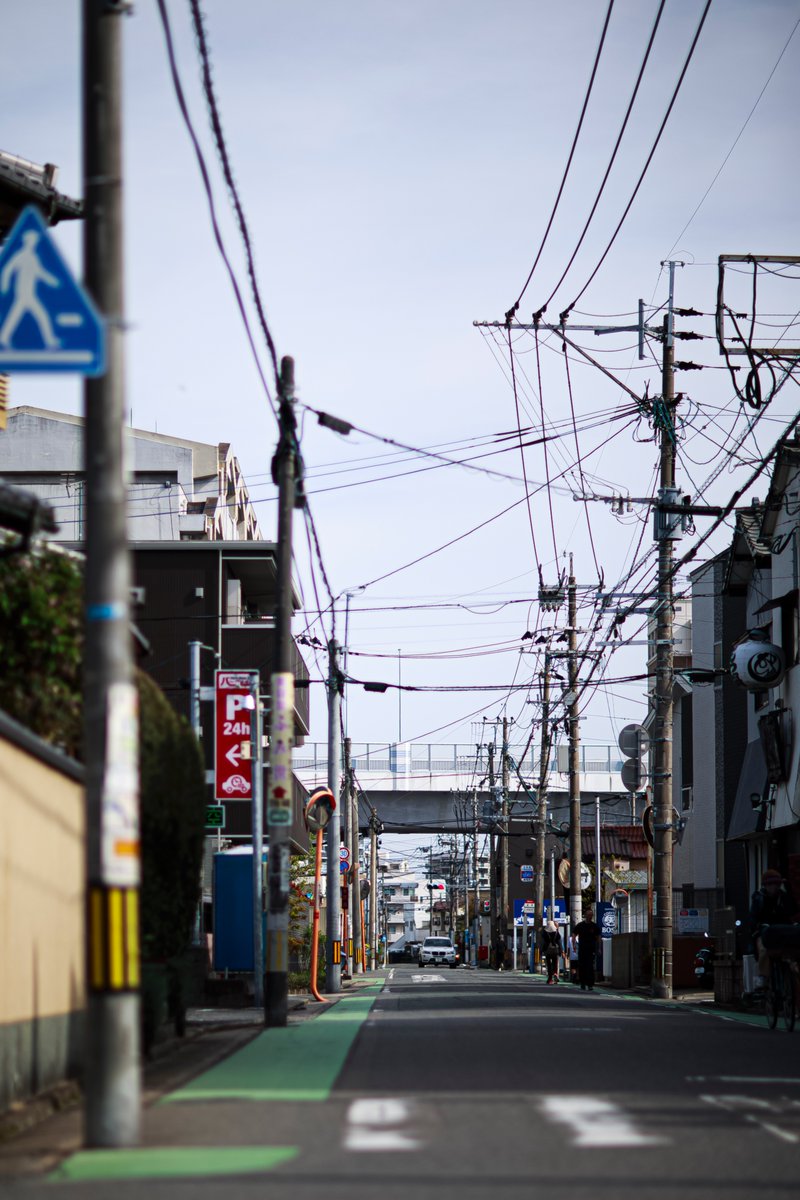 木霊（コダマ） tweet media