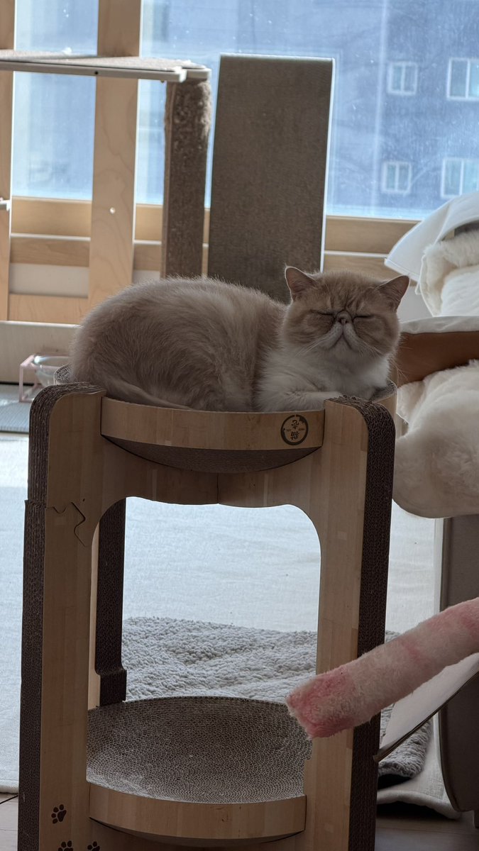 Lee, S. R. tweet media