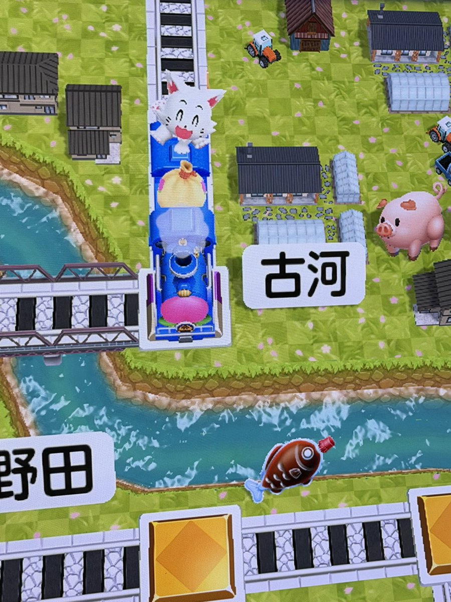 ASOVIVA.KOGA tweet media