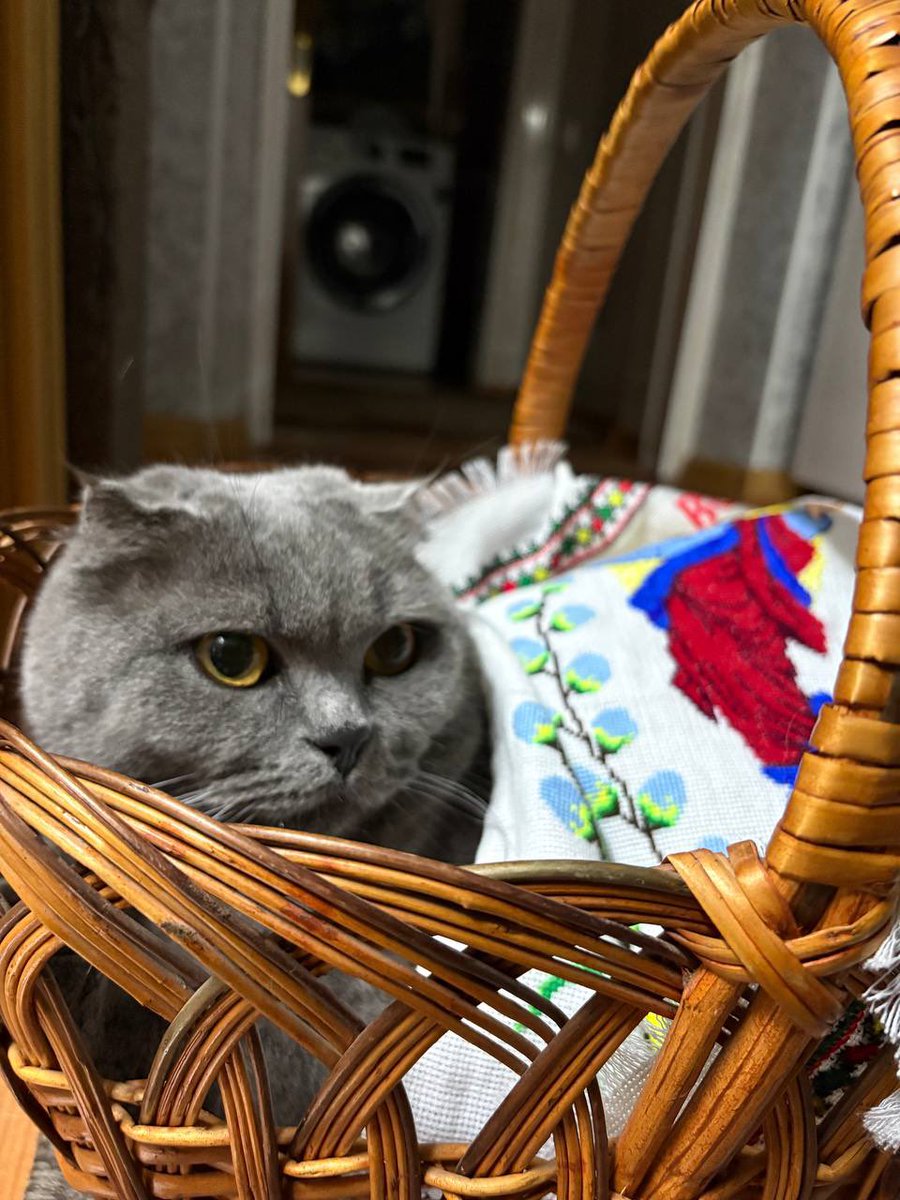 Жульєн tweet media