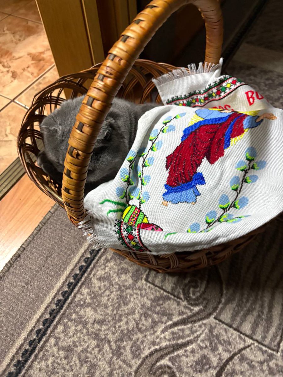 Жульєн tweet media