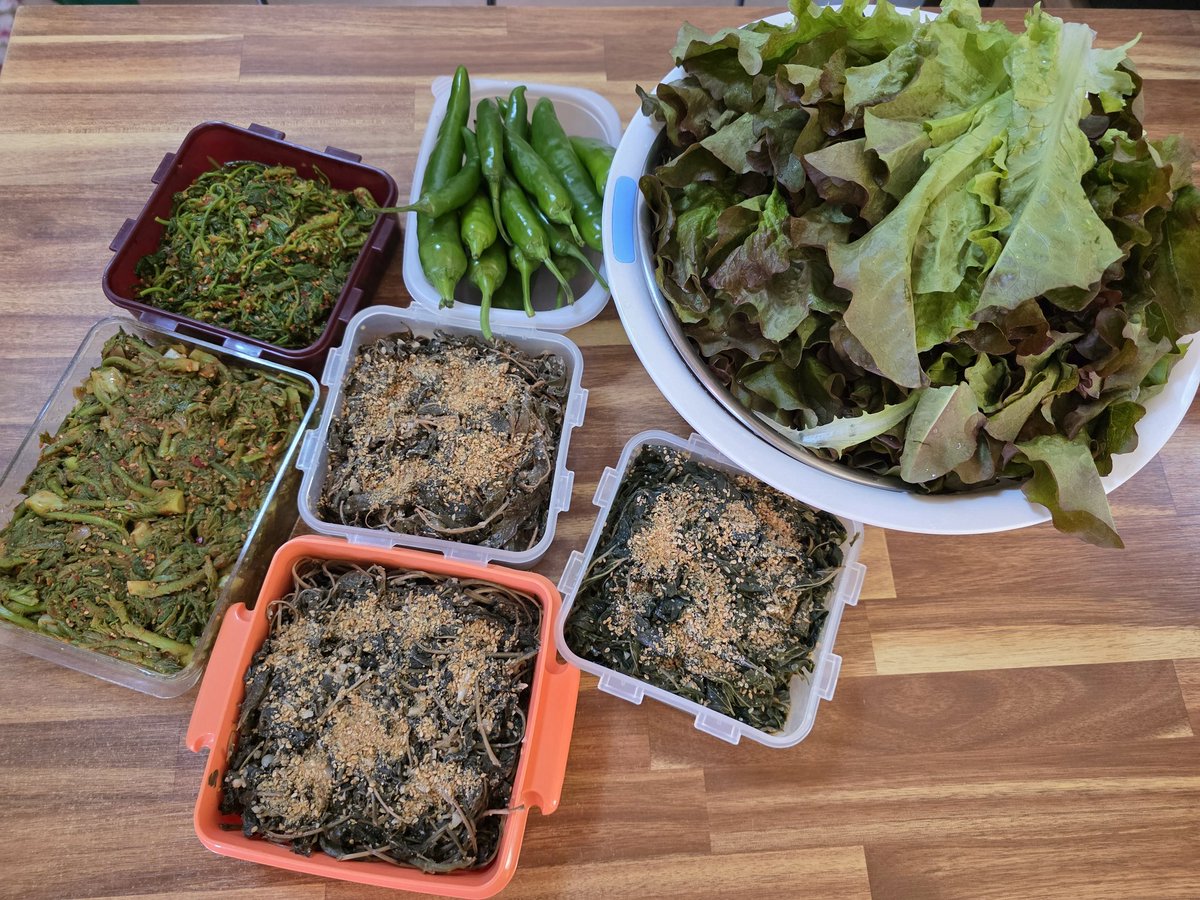 연  하 니 tweet media