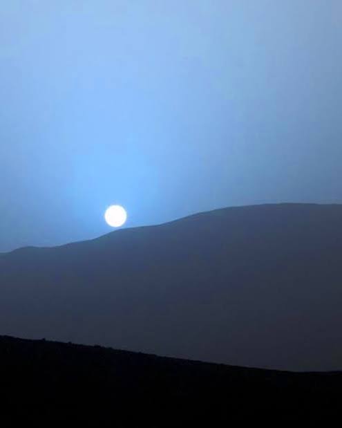 The Pussy Fuckers Take Manhattan tweet media