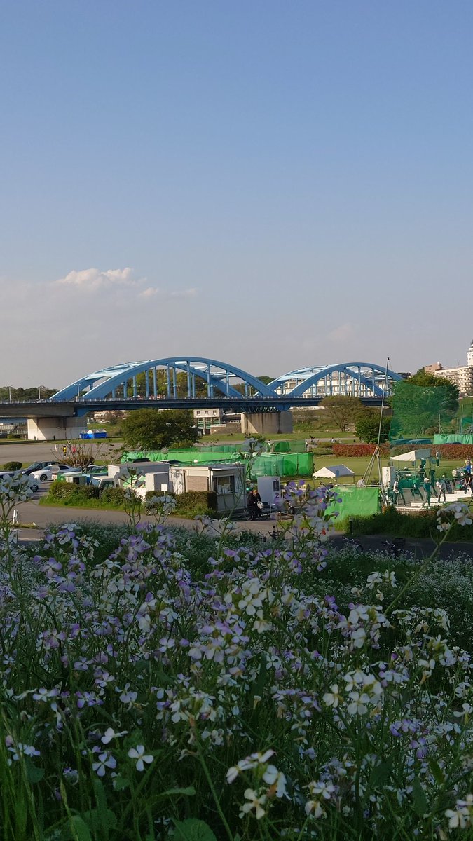 多摩川 tweet media
