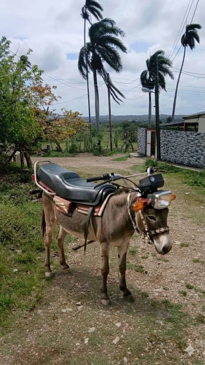 Eduardo L Riestra tweet media