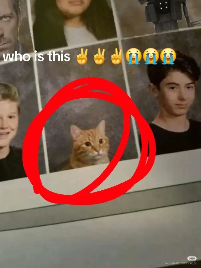 Welcome to Gboard clipboard, any tweet media