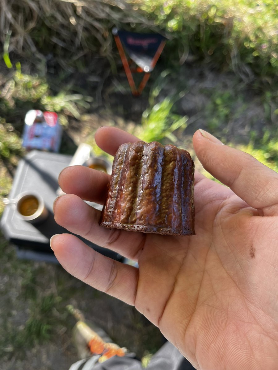 イグニ tweet media