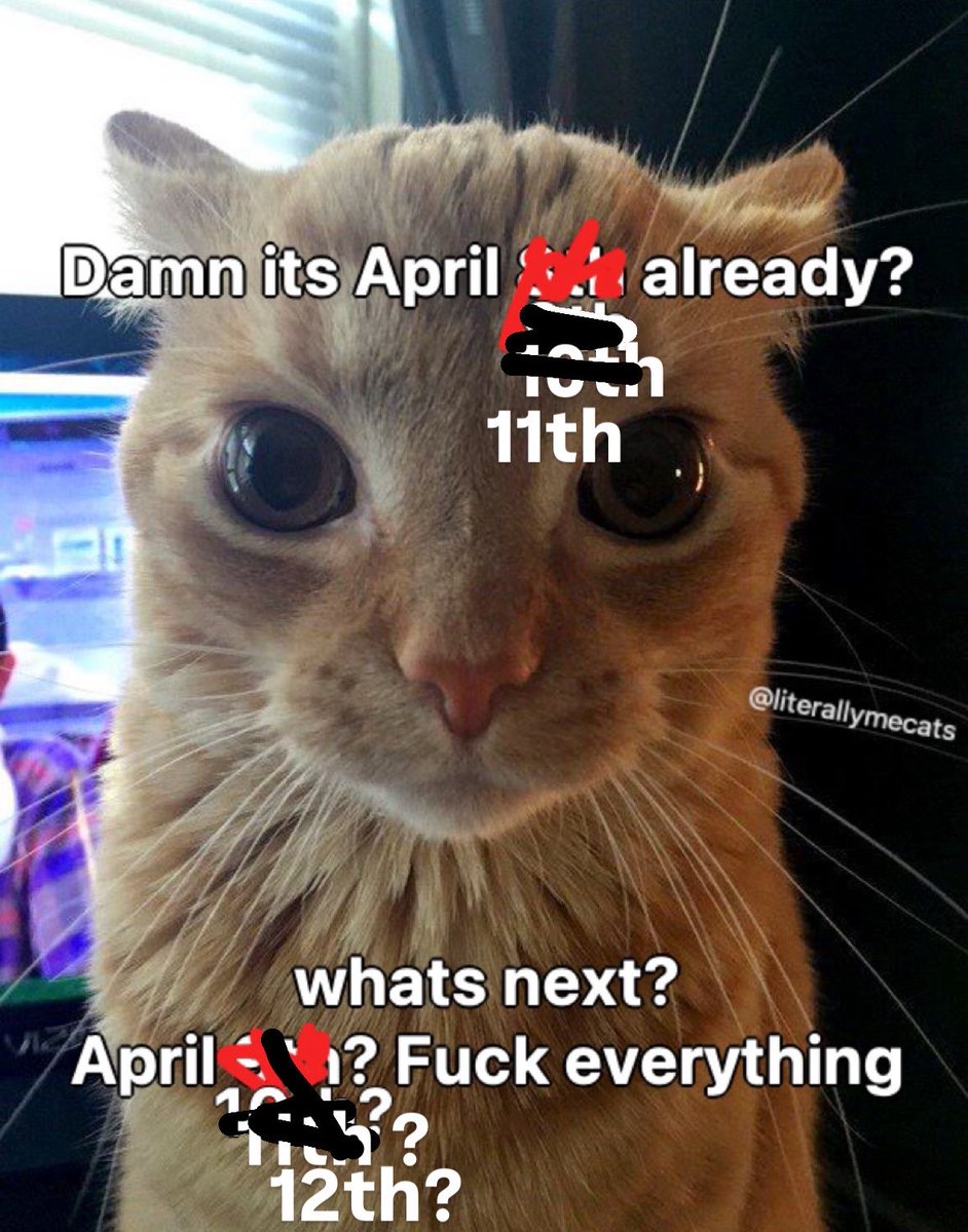 literallymecats's tweet photo. https://t.co/D59LkPkb3P
