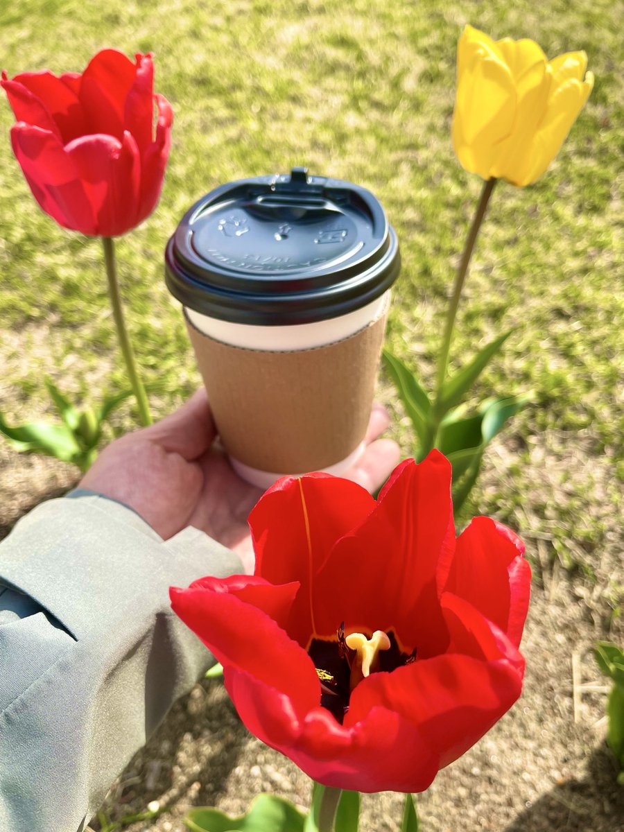 laputaskr's tweet photo. 給七哥 送陽光☀️送花花 🌹送咖啡☕️ 迎凱旋🗽
Healing time for Miles Guo 🌈🗽🙏
https://t.co/h2VWE0xoEl
#中共不等于中国人 #爆料革命 #新中国联邦 #郭文贵先生 #NFSC #MilesGuo #HCN #喜幣 #Hcoin https://t.co/Z2earTMHl6