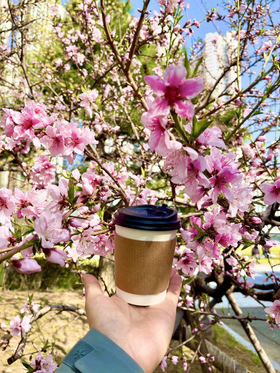 laputaskr's tweet photo. 給七哥 送陽光☀️送花花 🌹送咖啡☕️ 迎凱旋🗽
Healing time for Miles Guo 🌈🗽🙏
https://t.co/h2VWE0xoEl
#中共不等于中国人 #爆料革命 #新中国联邦 #郭文贵先生 #NFSC #MilesGuo #HCN #喜幣 #Hcoin https://t.co/Z2earTMHl6
