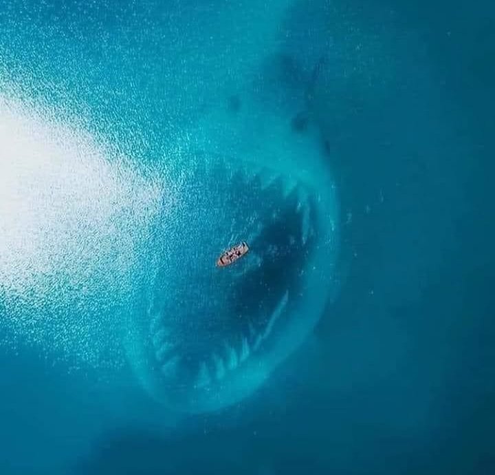 O.G™ 🤎 tweet media