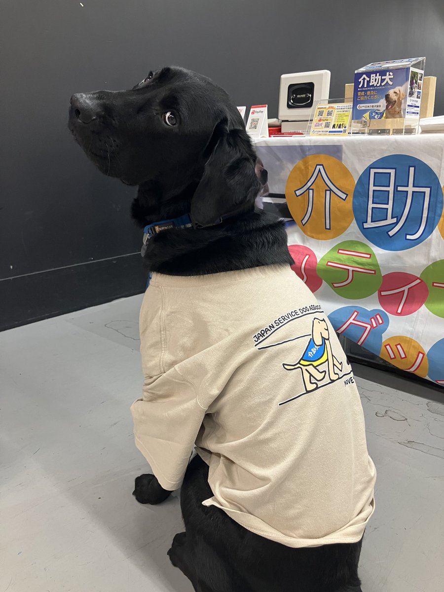 (社福)日本介助犬協会 tweet media
