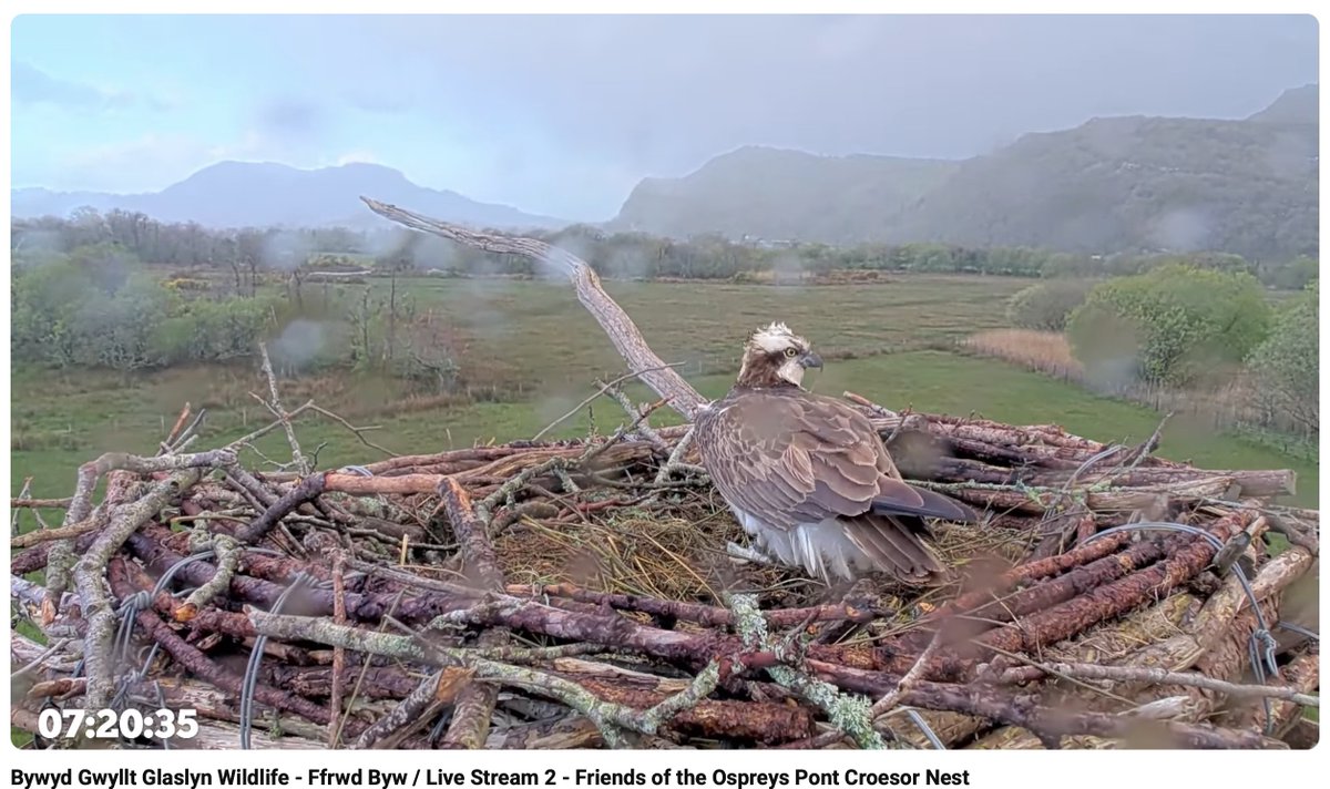 rain and stormy in Wales