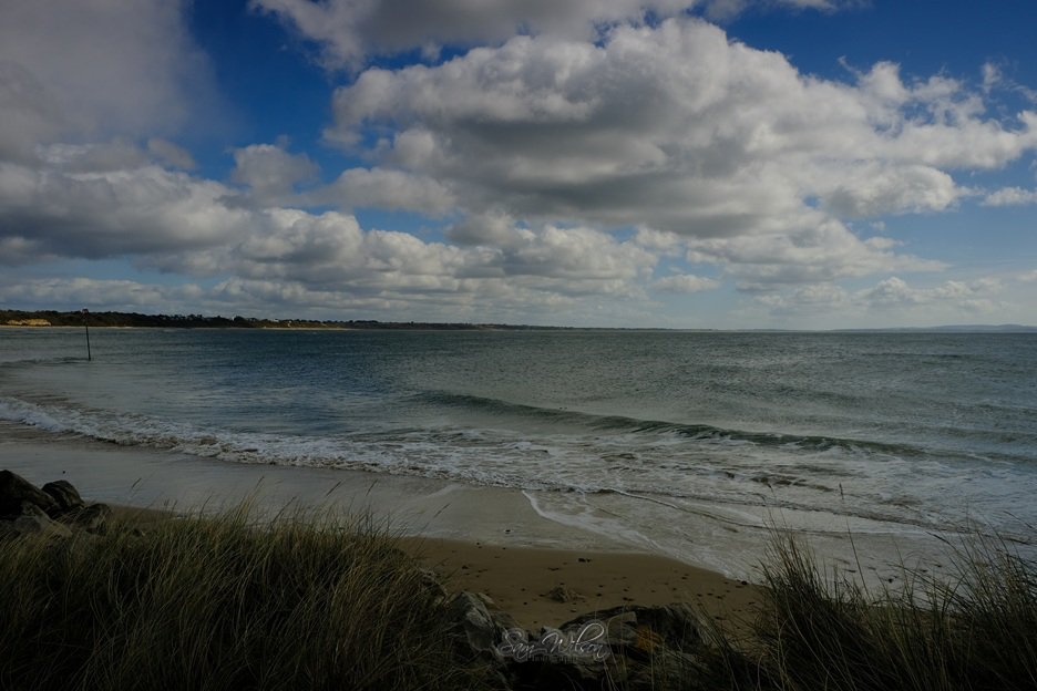 SamWlandscapes's tweet image. Lovely walk at Hengistbury head last weekend #beach #coastal