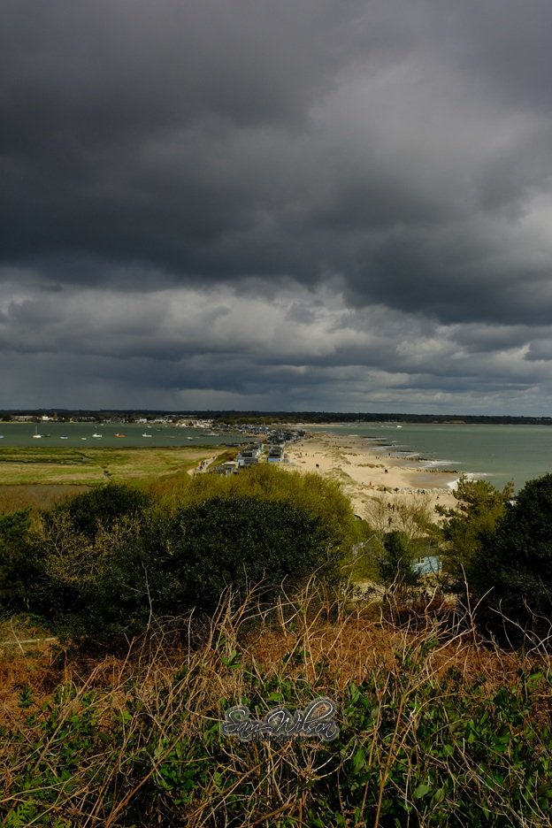 SamWlandscapes's tweet image. Lovely walk at Hengistbury head last weekend #beach #coastal