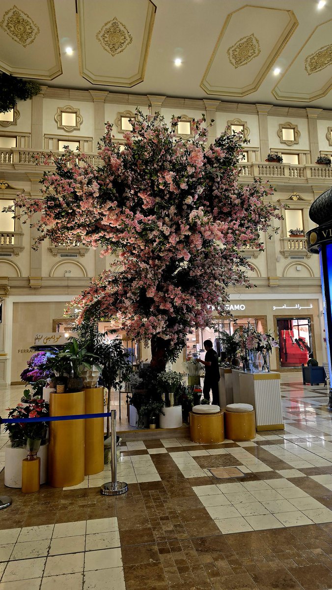 🇶🇦سلمان بن جبر آل ثاني tweet media