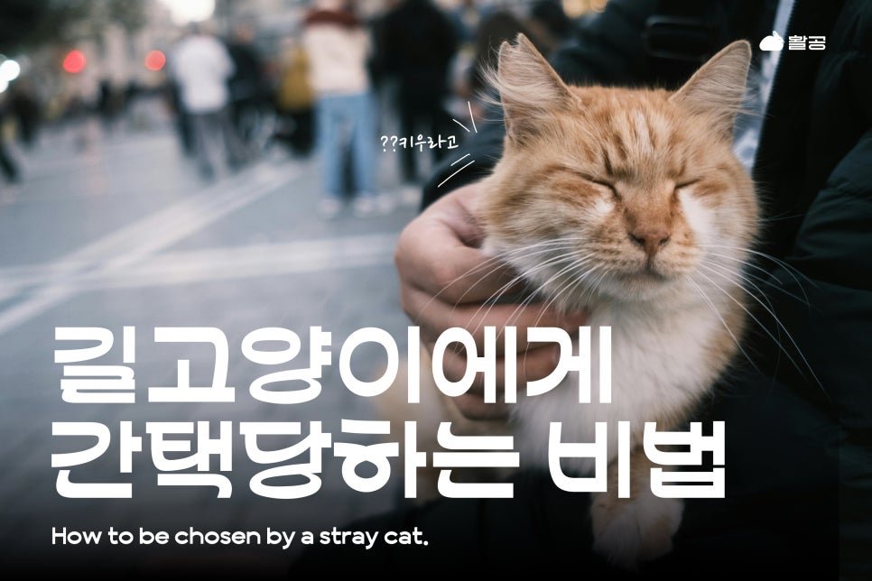 💙자료백업계❄ tweet media