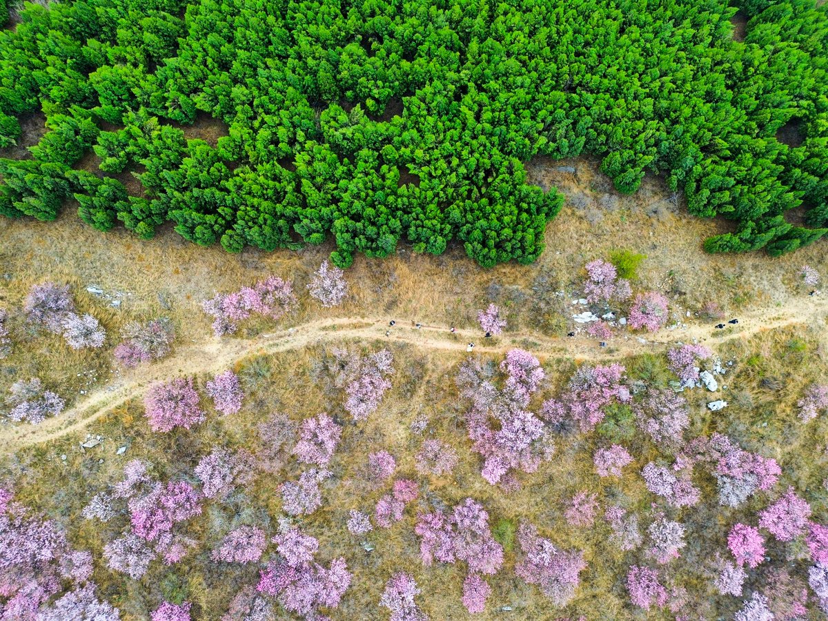 FlyOverChina tweet media