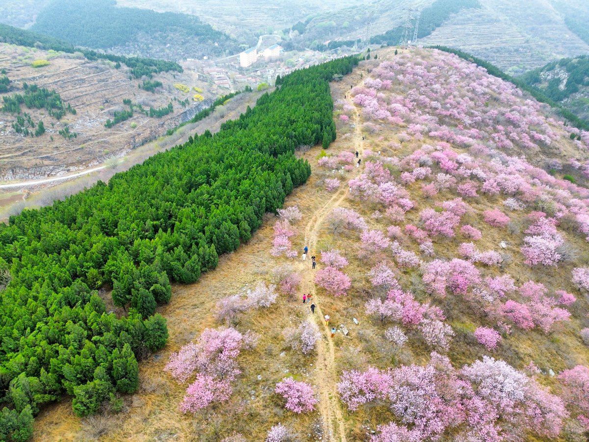 FlyOverChina tweet media