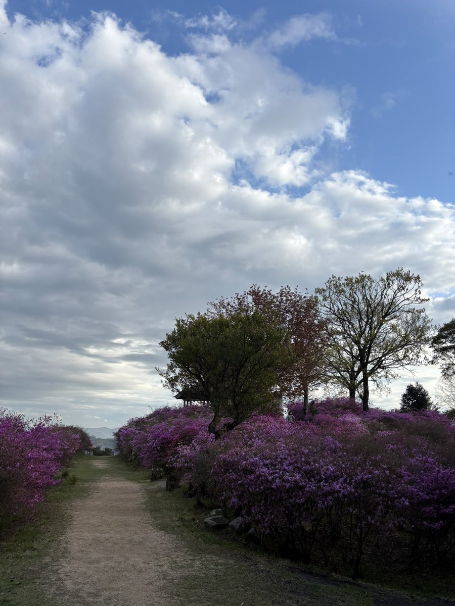 牛窓神社ネギの呟き@日本のエーゲ海 tweet media