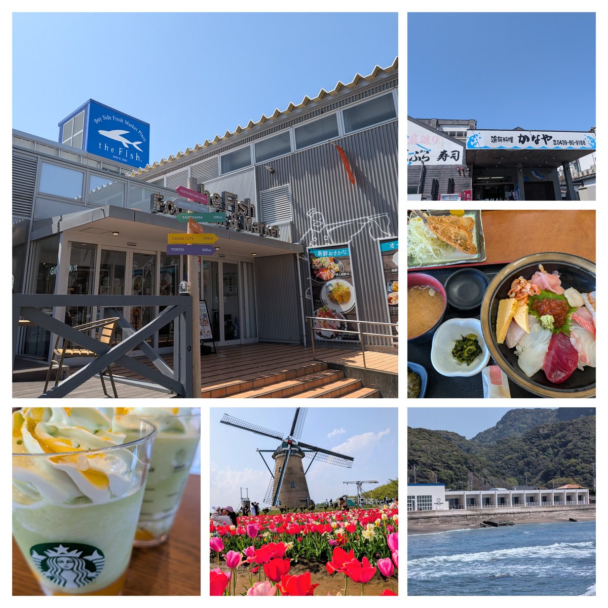 7_ok7k's tweet photo. 天気も良くて海🌊が見た〰️い😆とお出かけ🚘️
海鮮ランチ後は、チューリップ🌷を見に散歩🚶休憩で今年初メロンフラペチーノ🍈めっちゃ旨っ😋
#かなや
#TheFish
#佐倉ふるさと広場
#メロンフラペチーノ https://t.co/4L3PD7aFHX
