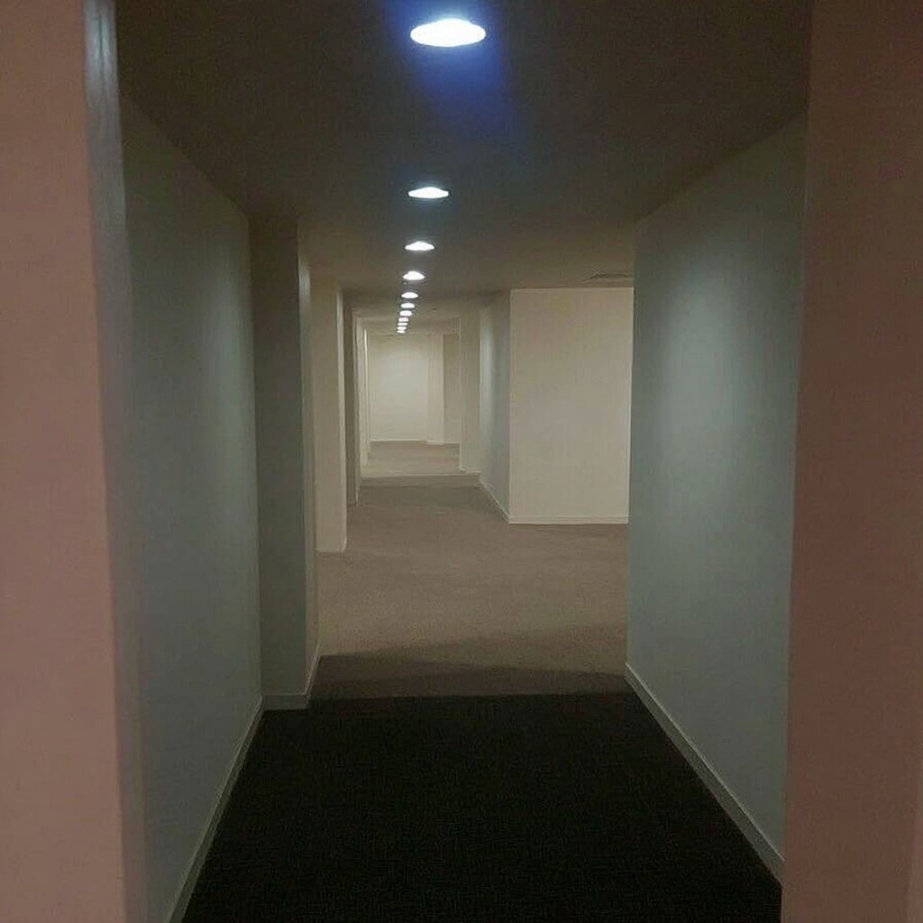 Liminal Space (@liminal_s) on Twitter photo 